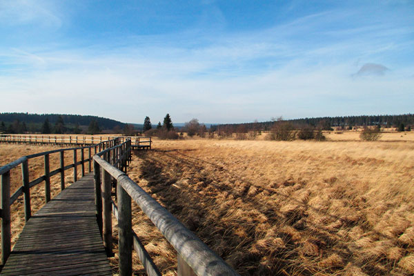 Village